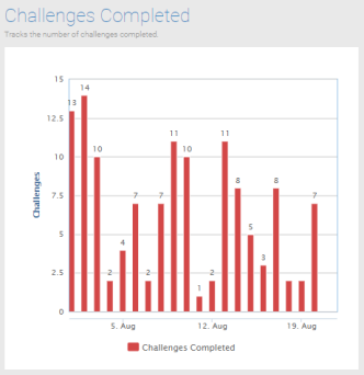 Challenges Completed Report