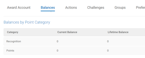 Balances Tab Without Award Account