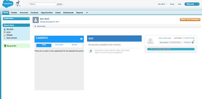 Visualforce Page Example