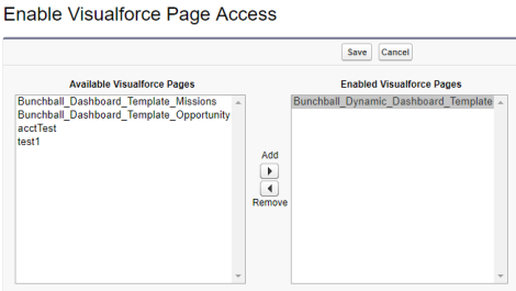 Visualforce Page Access Setup